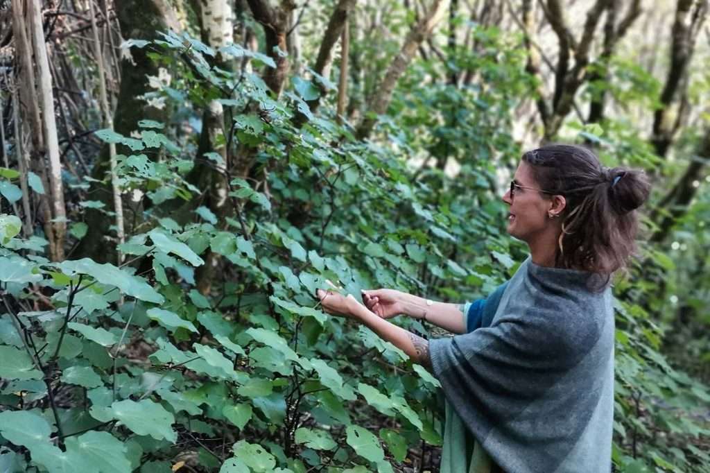 Featured Image My Story Kara Picking Kawakawa